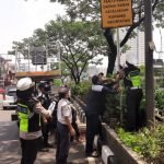 8838-0-9181efaad8159bb19a97913d63214364