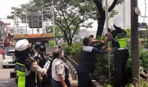 8838-0-9181efaad8159bb19a97913d63214364