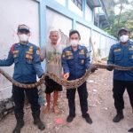 ae087abdf23f61cf1cedcc9871eb53bc