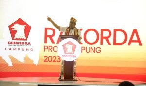 Ketua Fraksi Gerindra DPR RI Ahmad Muzani (2)